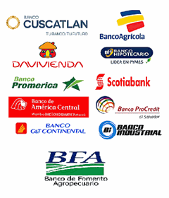 Instituciones bancarias (Pago de derechos CNR)
